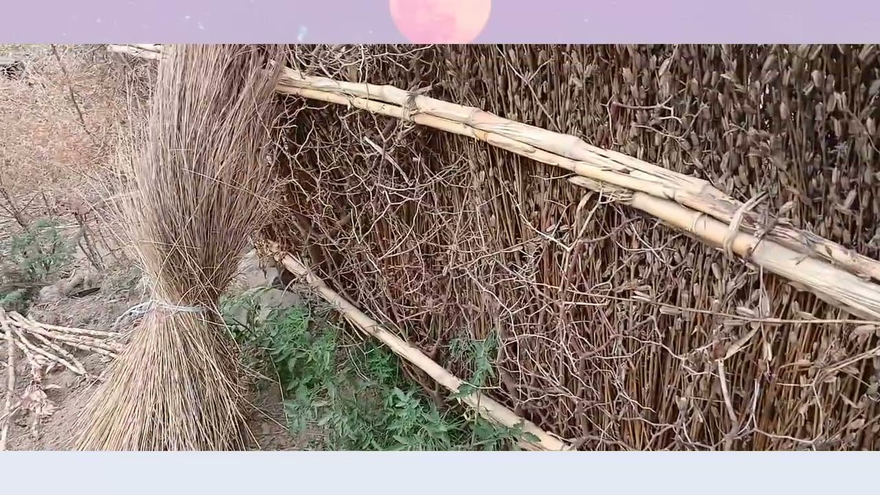 ዩቱቡን ለሸጠው ነው የሚገዛኝ ካለ አናገሩኝ ወይ መፍቴሄ ሰጡኝ  እኔ እየሰራሁ ለሰው ገቢ አላደርግም 😥🅰️🛑⁉️