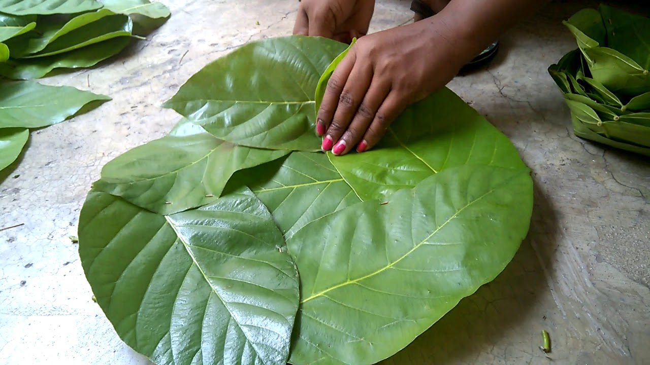 ecofriendly plate(patla pati)