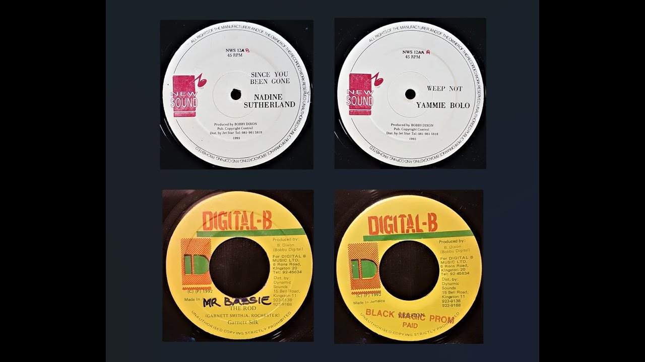 Mr Bassie Riddim Mix 1992 : Nadine Sutherland, Yammie Bolo, Garnett Silk (Digital-B)