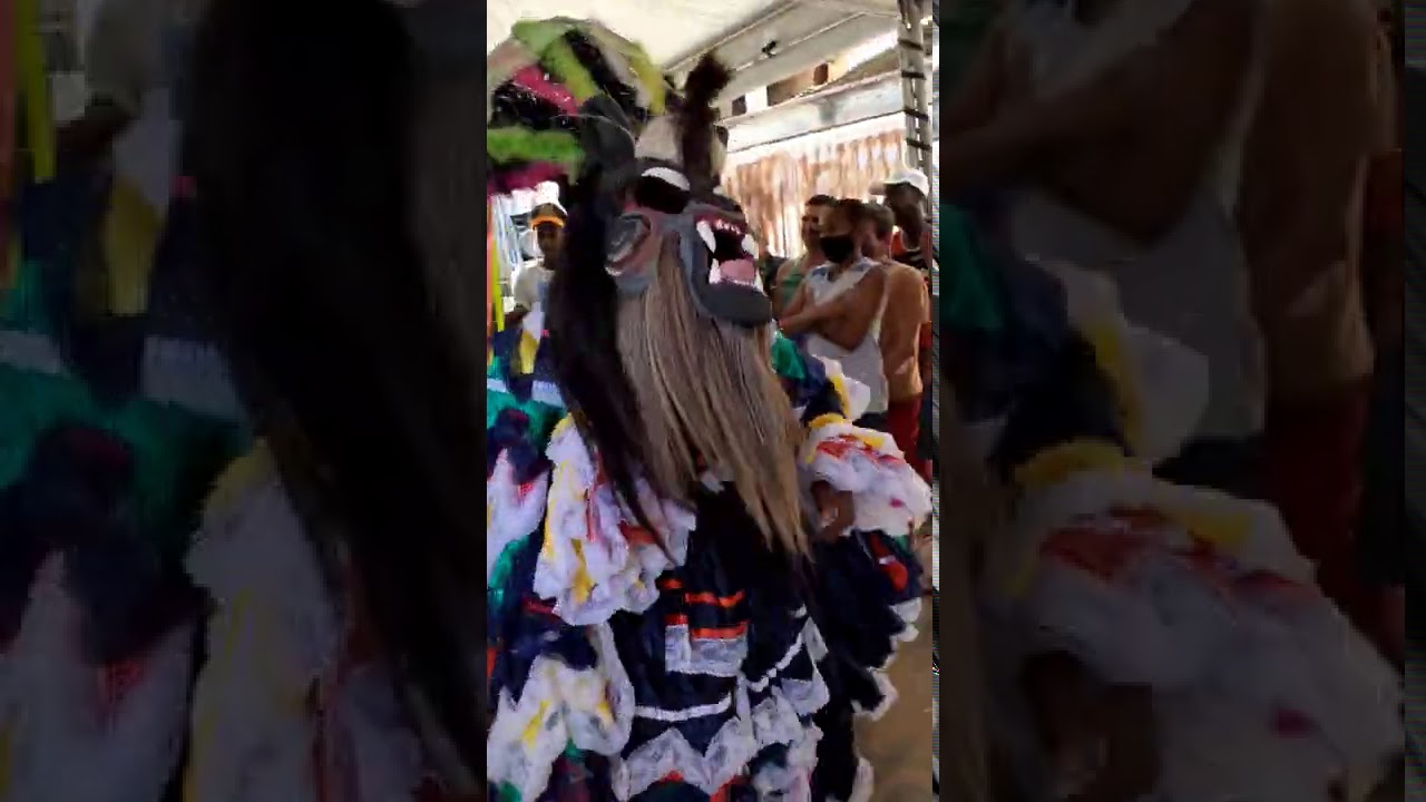 FOLIA DE REIS MIRACEMA (poeta ventania (famoso criollo na casa do tii)