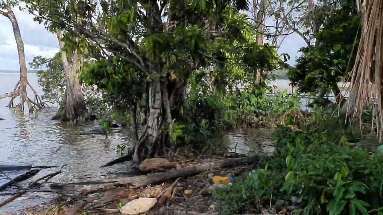 Overbridge River Resort, Suriname