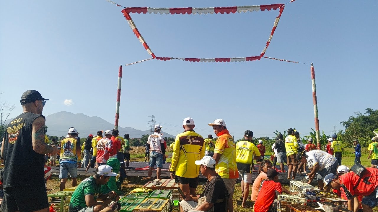 BABAK 3, 4, & 5, NEW AYLA SISTEM BOB LAPAK JKK SEMARANG