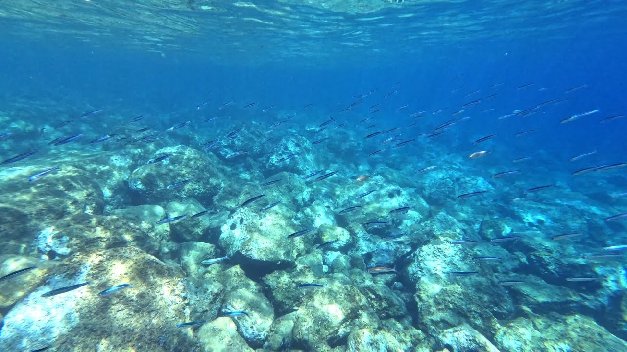 Croatia snorkeling - Srebreno / Kupari / Mas en ruines