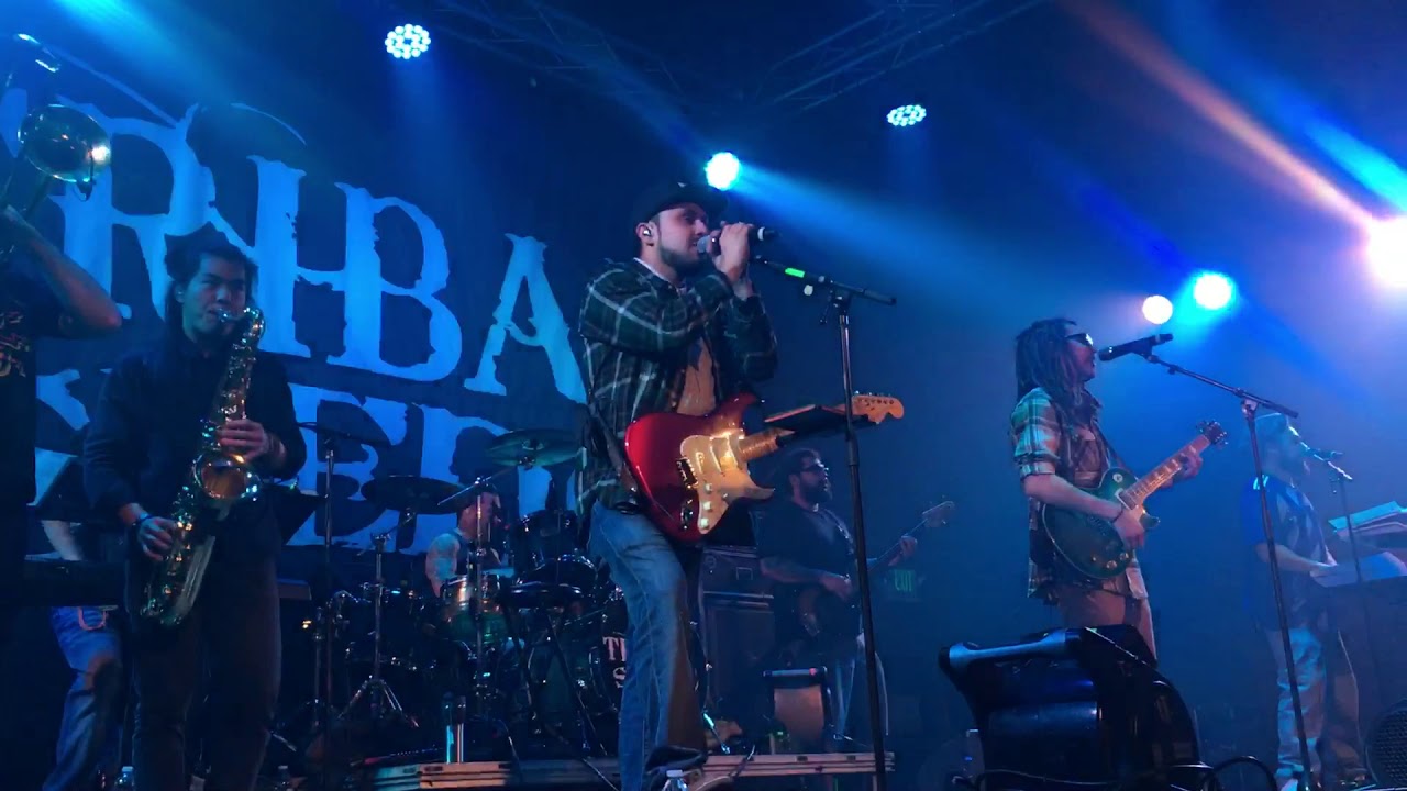 Aroma (Live)HQ-Tribal Seeds