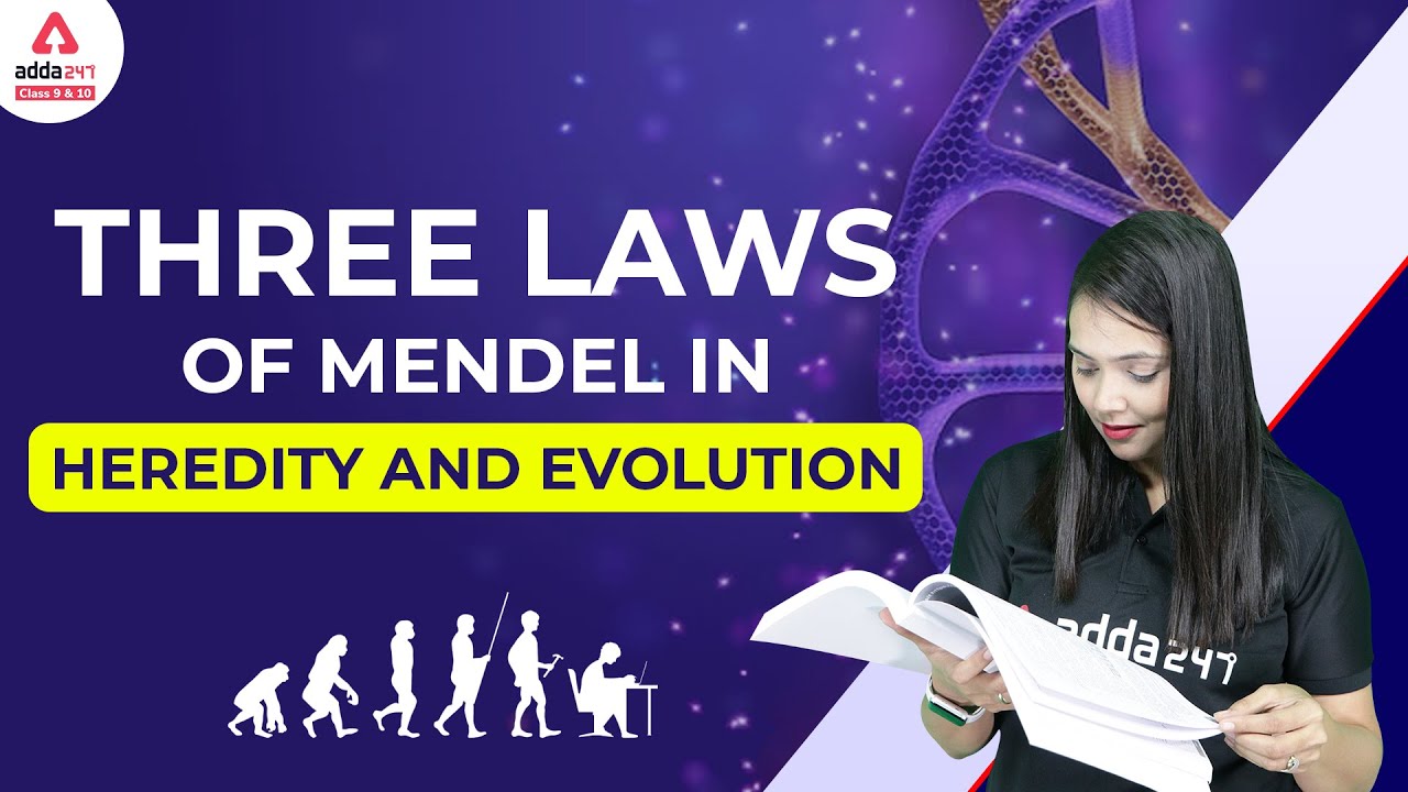 Class 10 Term 2 Science Biology | Three Law Of Mendel in Heredity And Evolution Board 2023