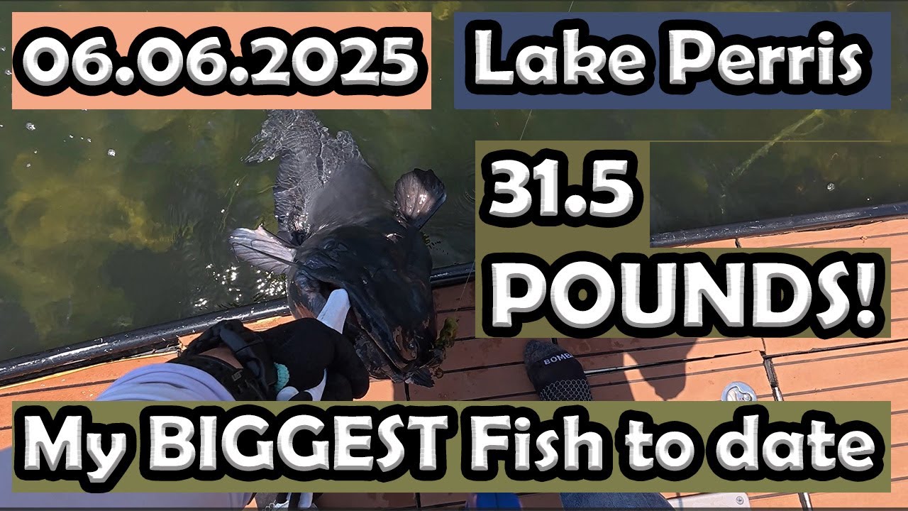 Lake Perris Fishing: My BIGGEST fish to date!