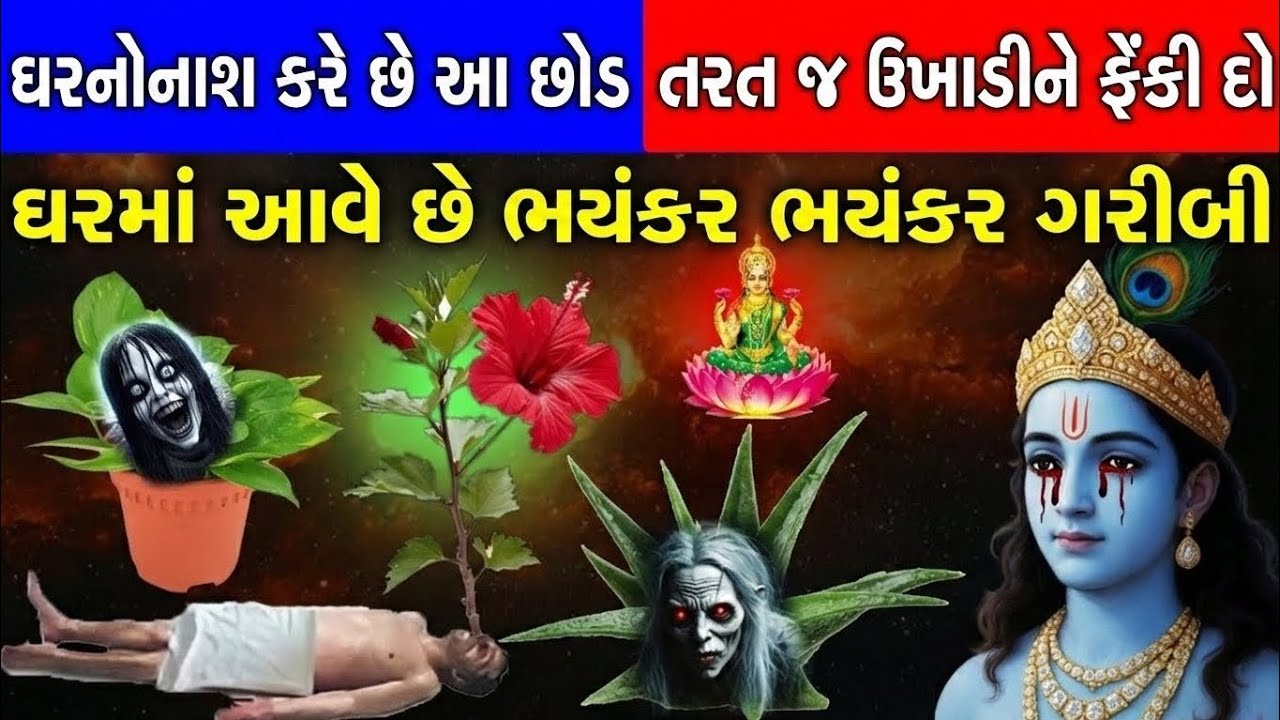 શ્રી કૃષ્ણ કહે છે, આ 5 વૃક્ષ-છોડના કારણે આવે છે ગરીબી, તરત જ ઉખાડીને ફેંકી દો | home vastu