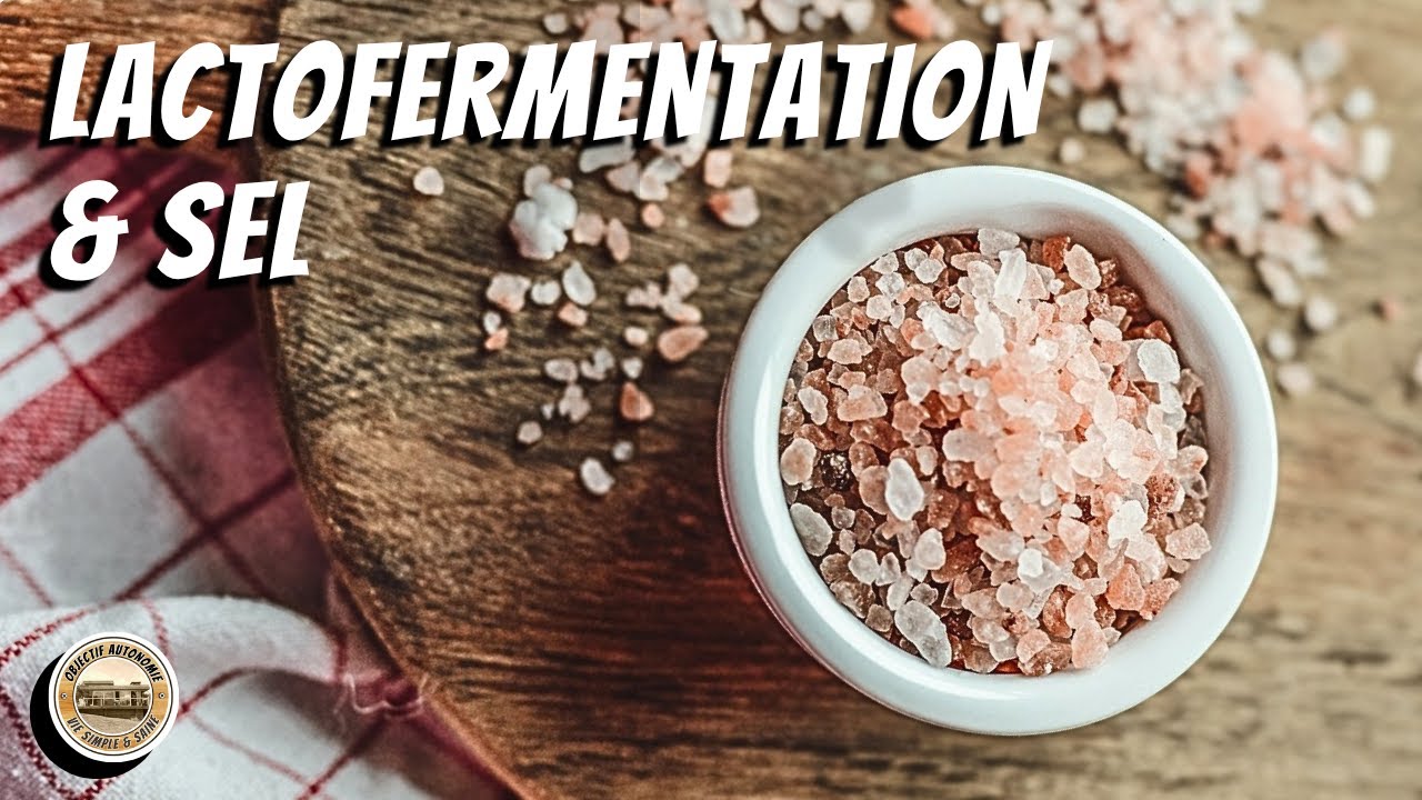Le Sel, Les Probiotiques et les Bactéries Pathogènes dans la Lacto-Fermentation: 9 choses à savoir
