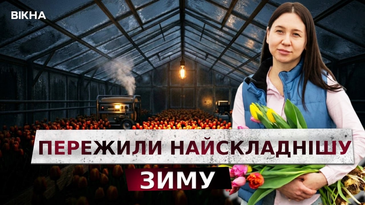 Генератор майже НЕ СТИХАВ! 300 тисяч тюльпанів мало не замерзли! Виживання квітникарів на КИЇВЩИНІ