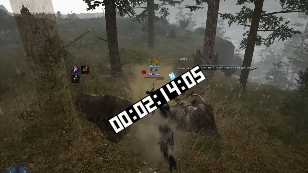 BDO | HARDER BETTER FASTER | MUSA | THIRA RUINS GATHERING | SNAKE MEAT | SCORPION MEAT