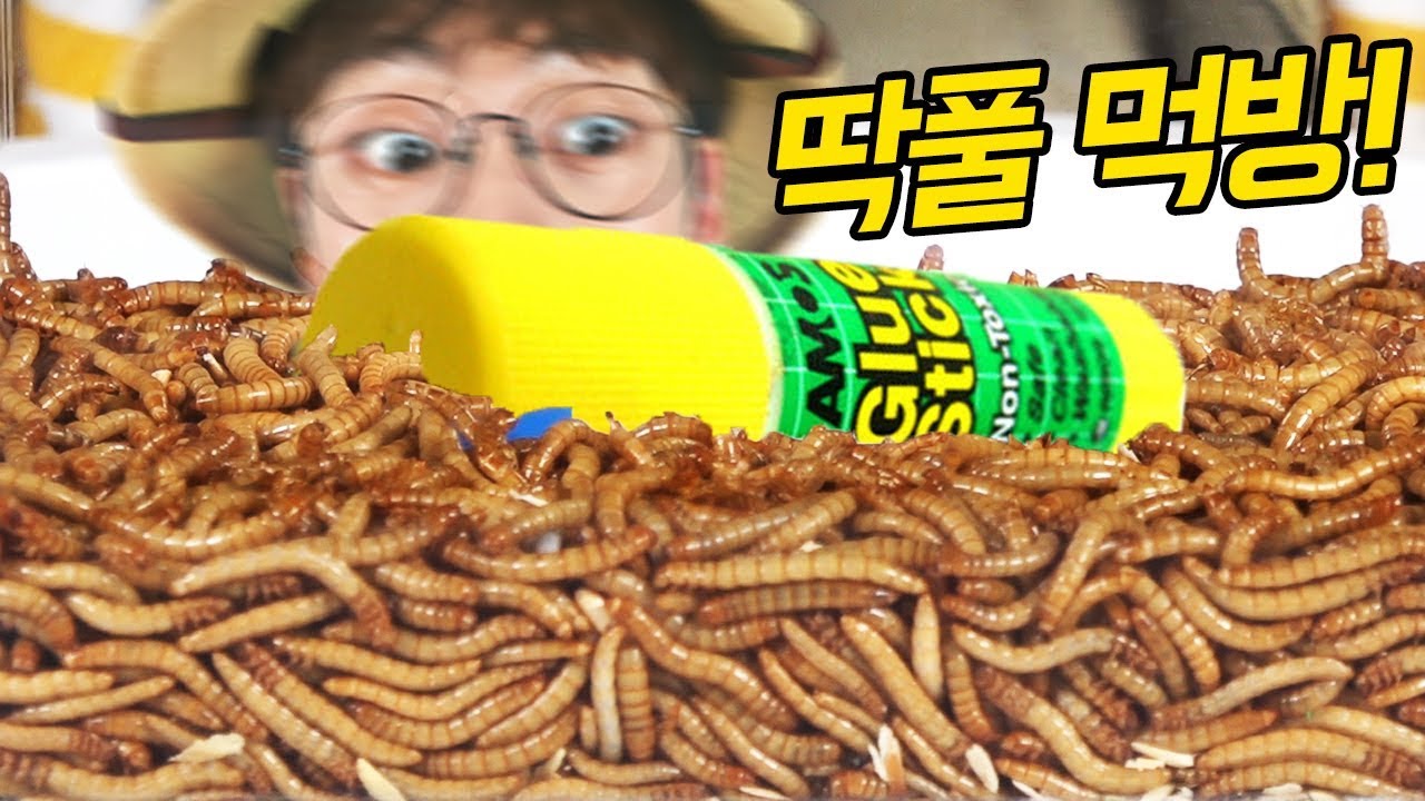 딱풀을 녹여버리는 밀웜 2000마리....