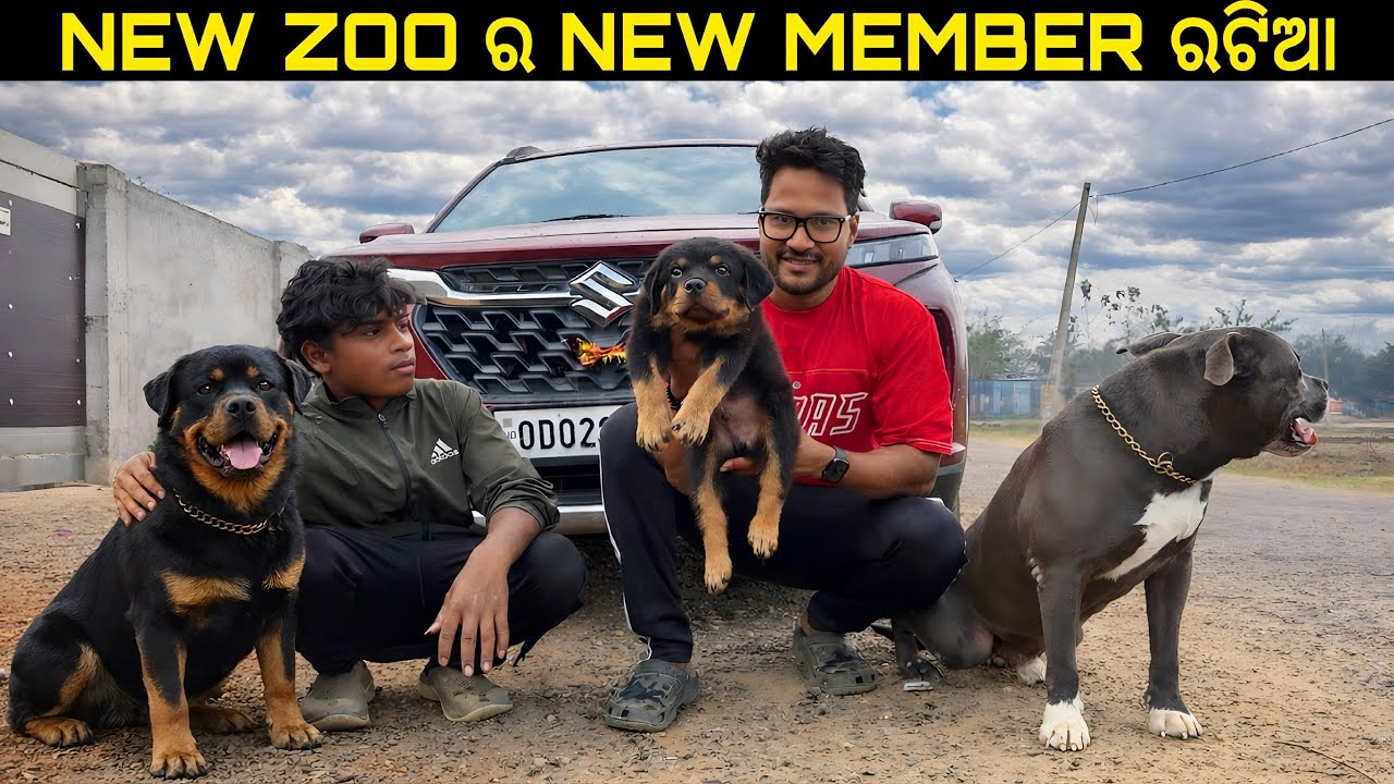 NEW ZOO ର NEW MEMBER ରଟିଆ 🤗
