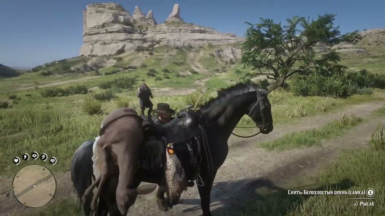 Red Dead Redemption 2 Ч-39