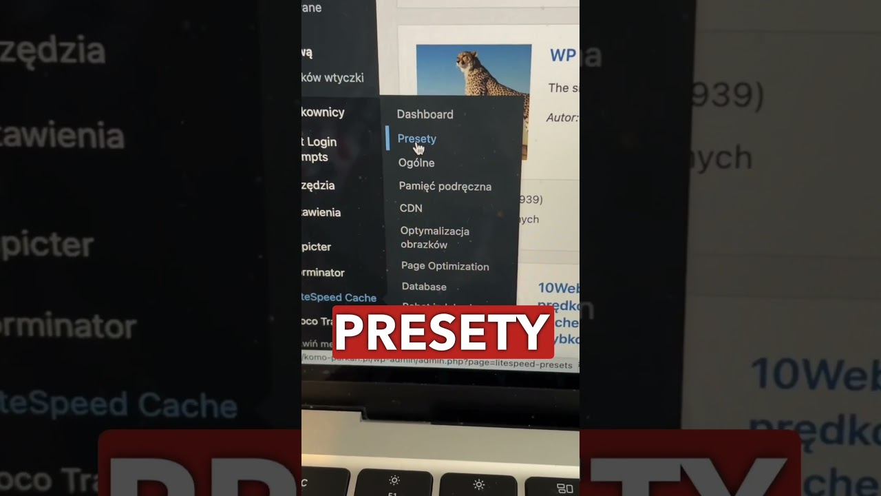 Jak Przyspieszyć Stronę Na WordPress. Optymalizacja Strony WordPress - Litespeed Cache