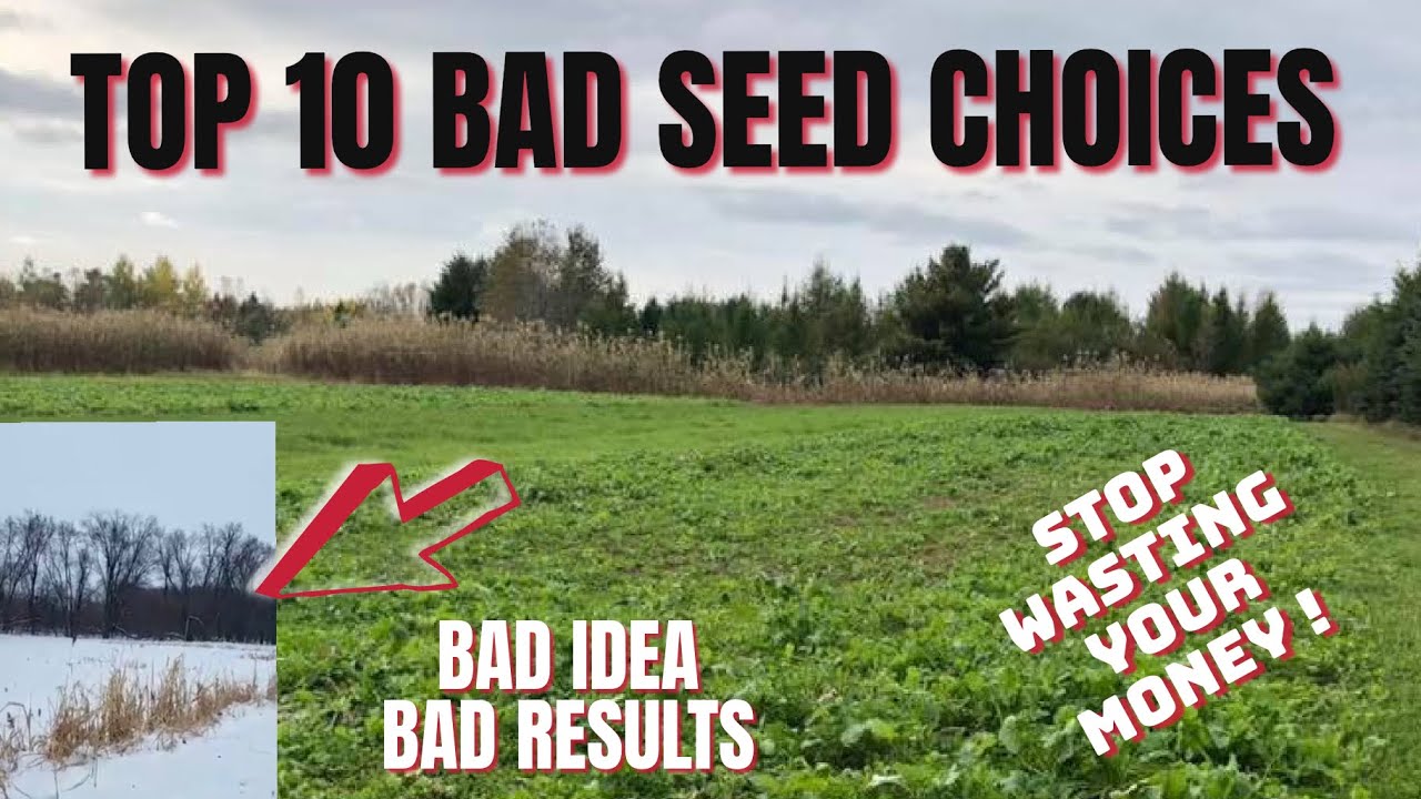 TOP 10 BAD FOOD PLOT SEED CHOICES.