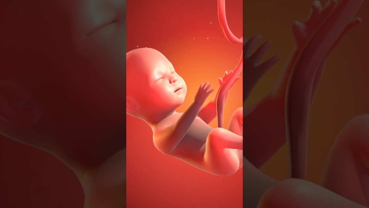 BABY GENDER PREDICTION MYTH | Shape & Size of Stomach during Pregnancy