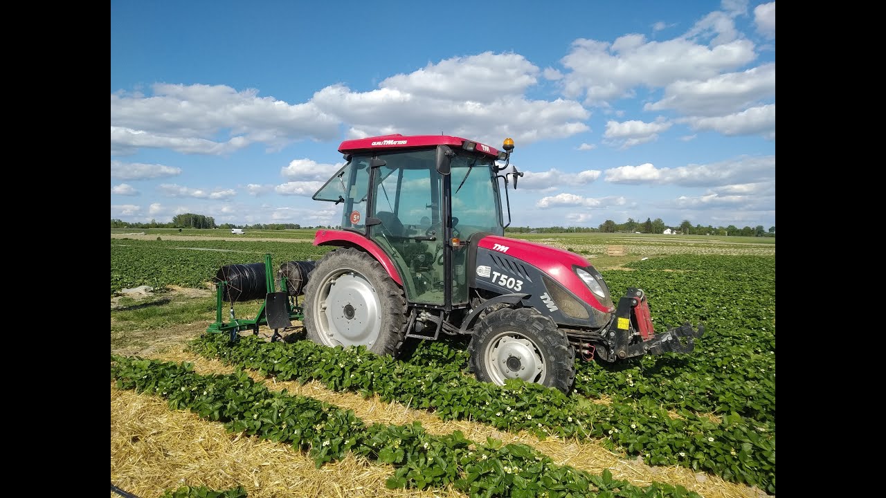 🚜 Rozkładanie nawodnienia w truskawkach 🍓| Tym T503🚜