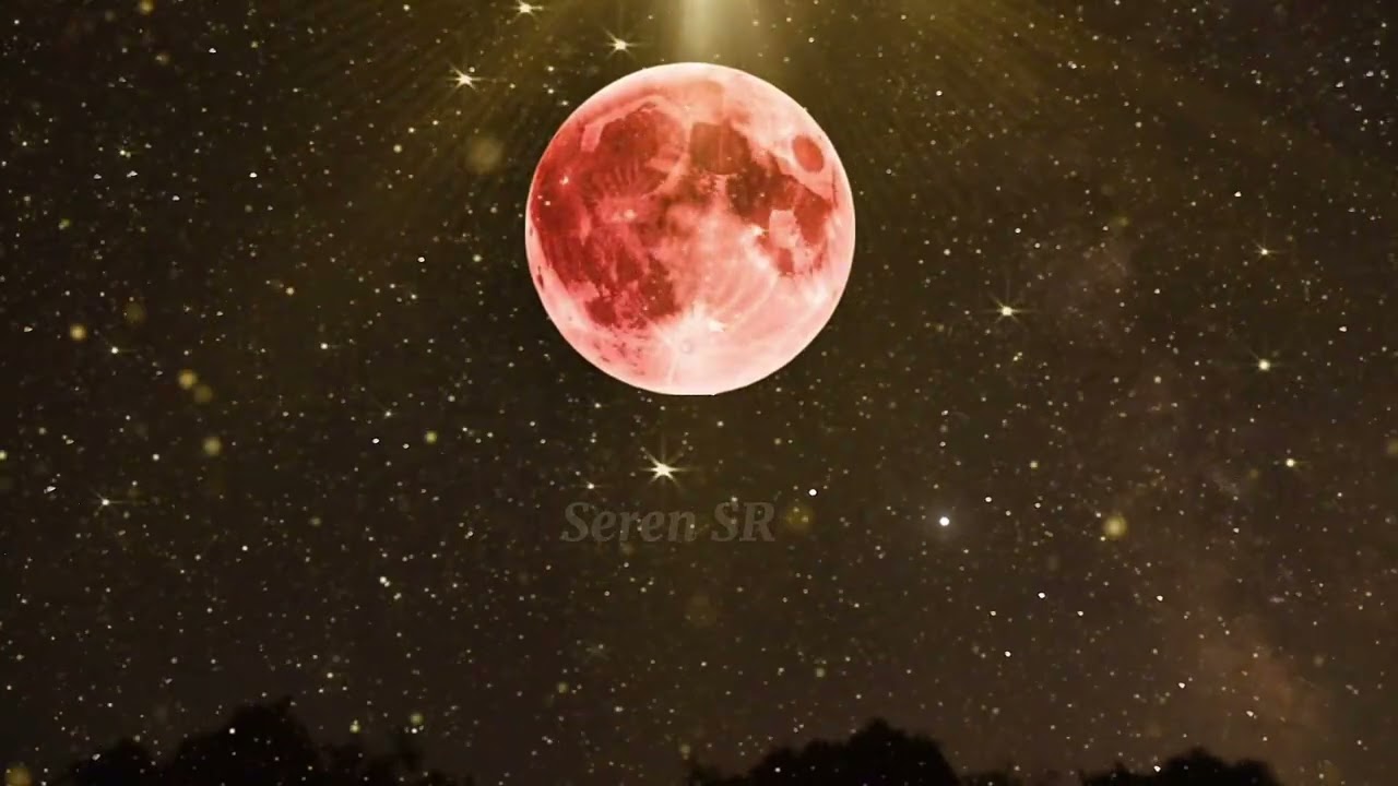 ✨FULL MOON 🌕 ECLIPSE ENERGY | MANIFEST YOUR WISHES  @SerenSpiritualReadings 