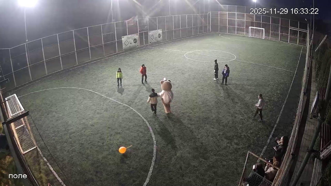 Вулик CUP 29/11/2025