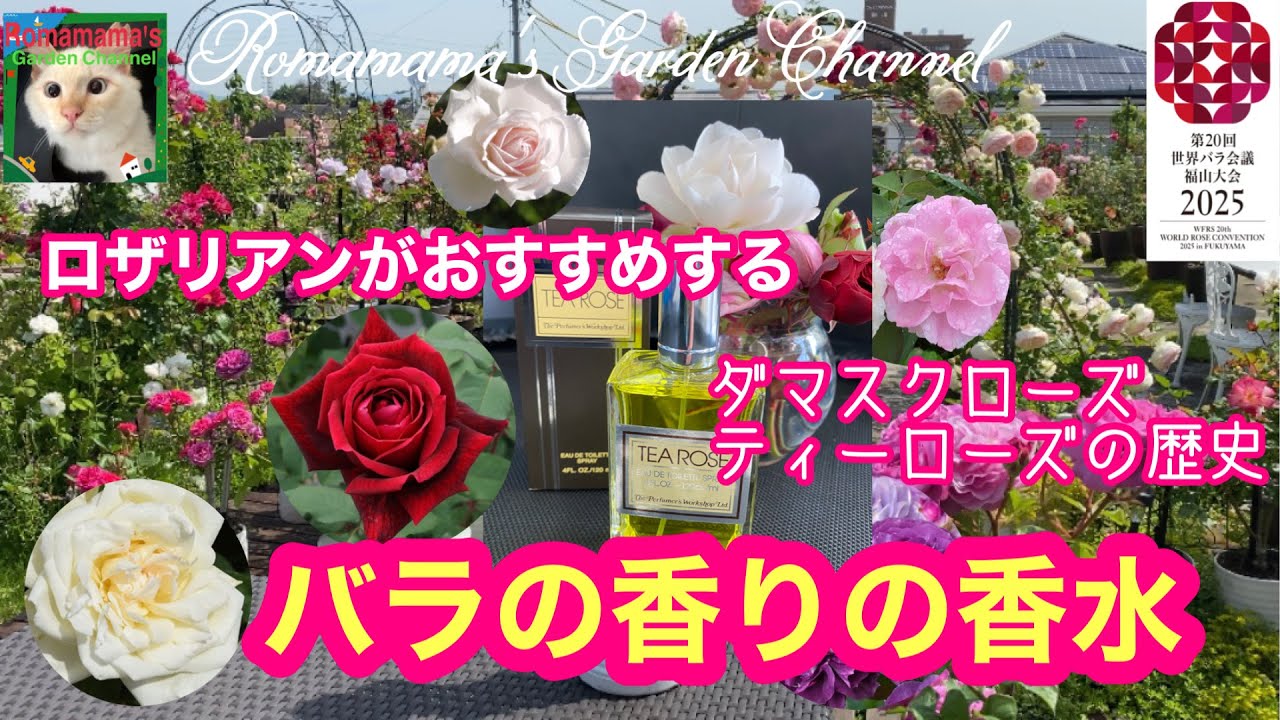 【バラ】ロザリアンがおすすめするばらの香りの香水　#パパメイアン　#ダマスク