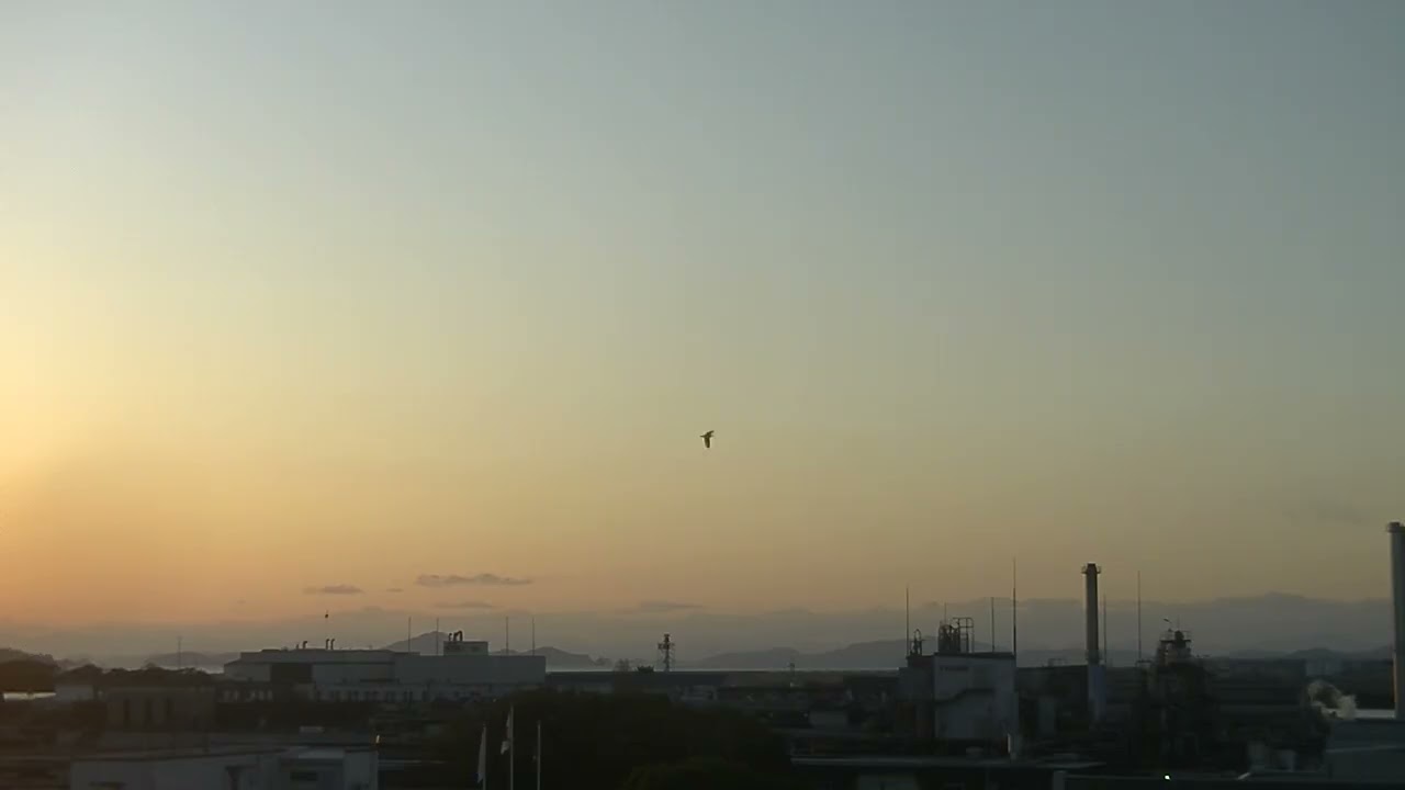 20260130 00003 0745  哨戒機離陸 ANA632羽田便誘導路 レーダー左沖に護衛艦が居る