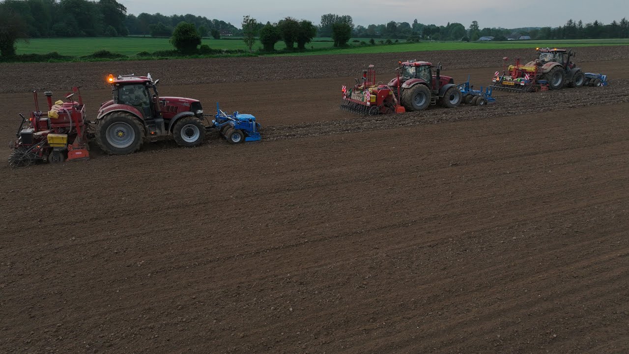 Semis XXL 3 SEMOIRS au Semis de petits pois
