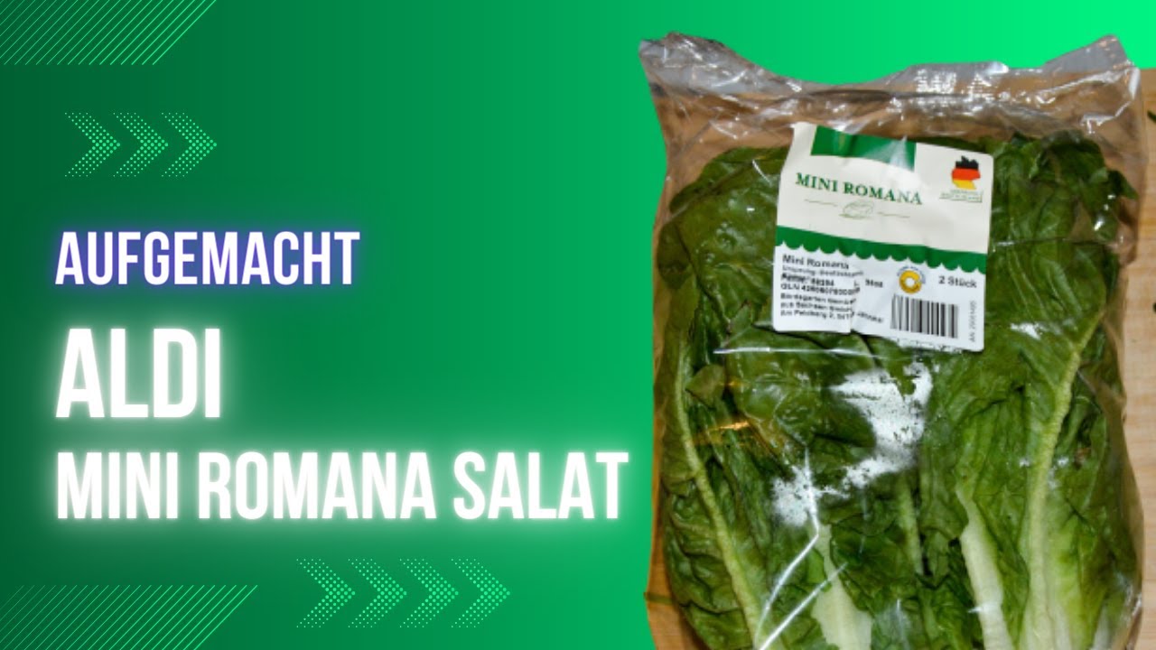 Angemacht: Aldi Mini Romana Salat 2023