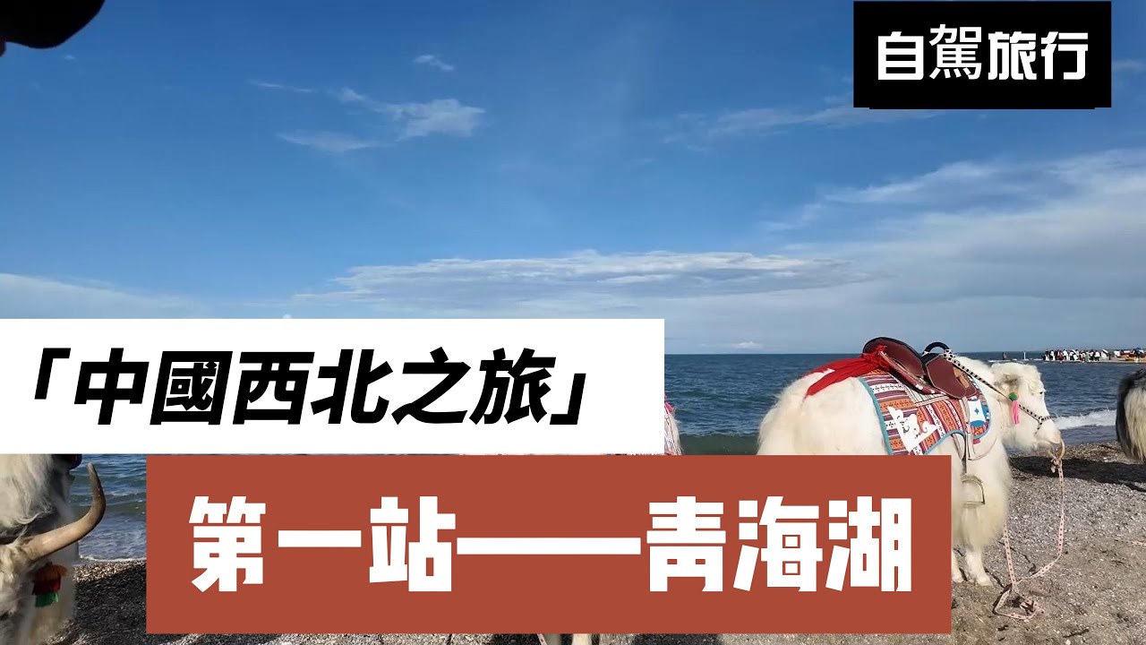 中國大西北電車自駕之旅-青海湖