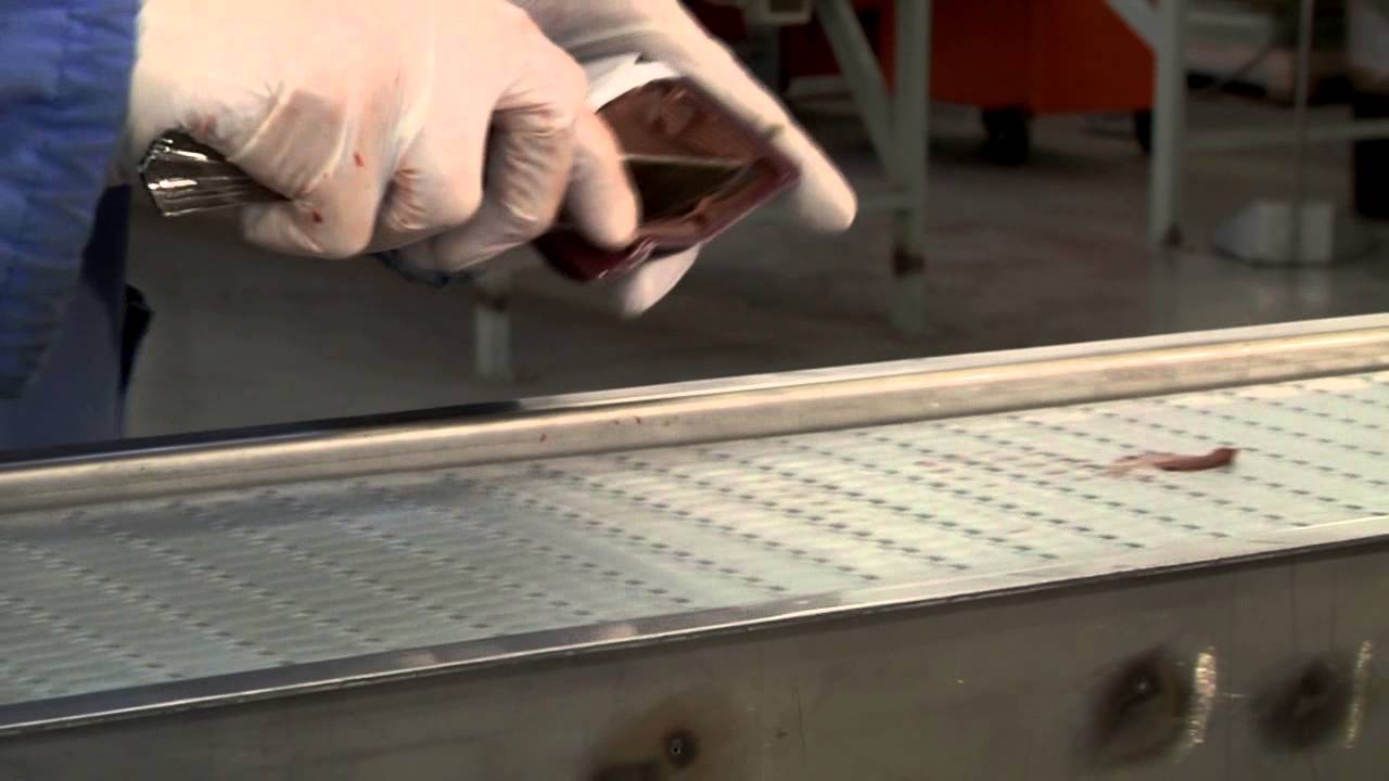 Steam cleaner of conveyor belt for food sector / Lavanastri per il settore alimentare