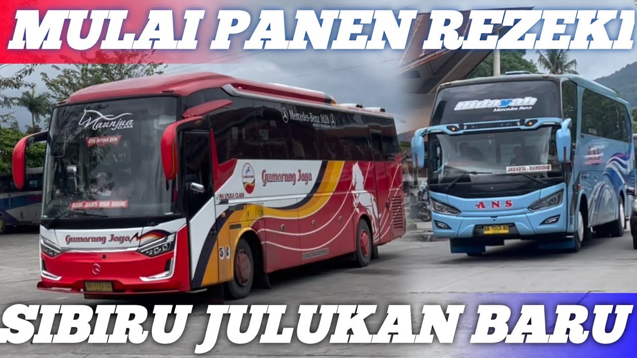 Mulai panen rezeki sibiru julukan baru