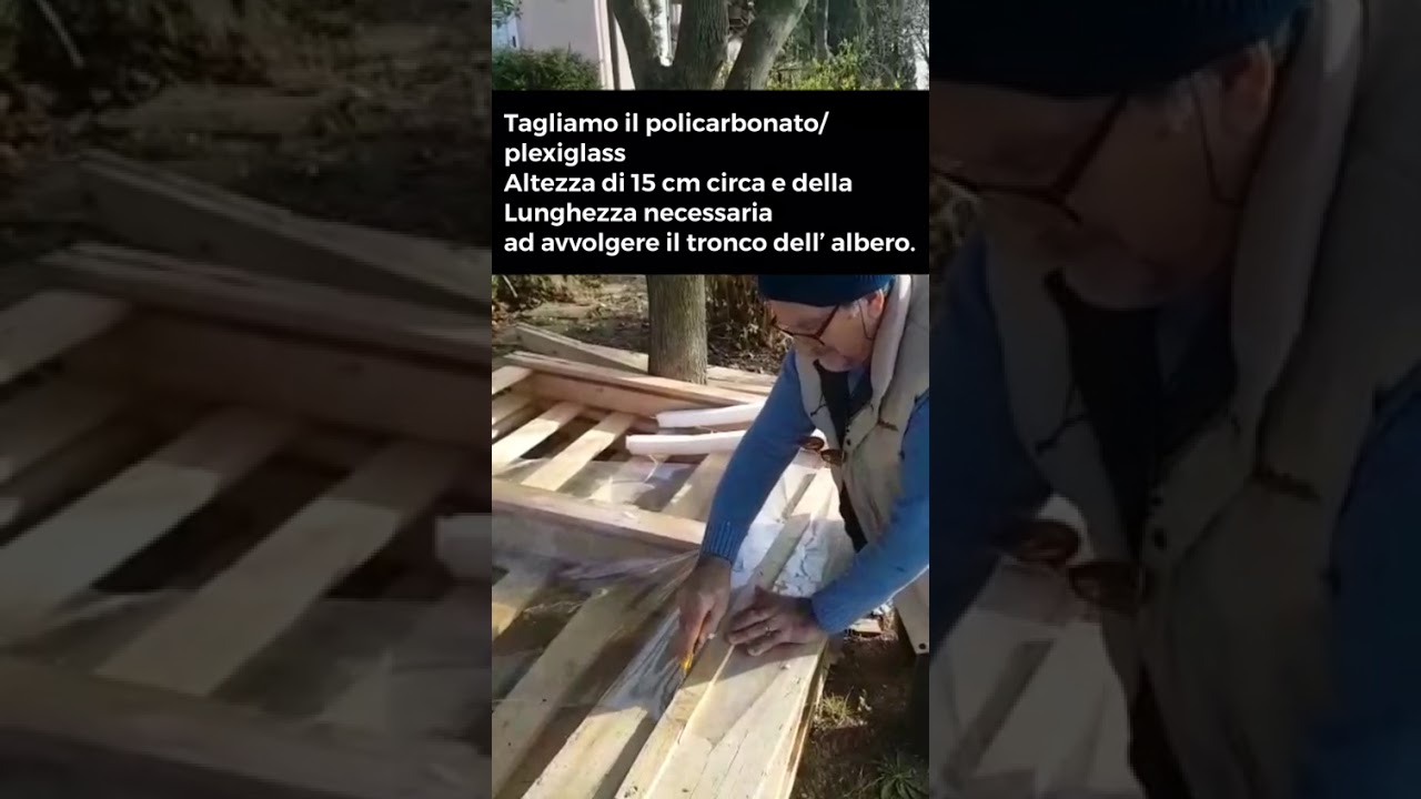 Trappole per processionarie