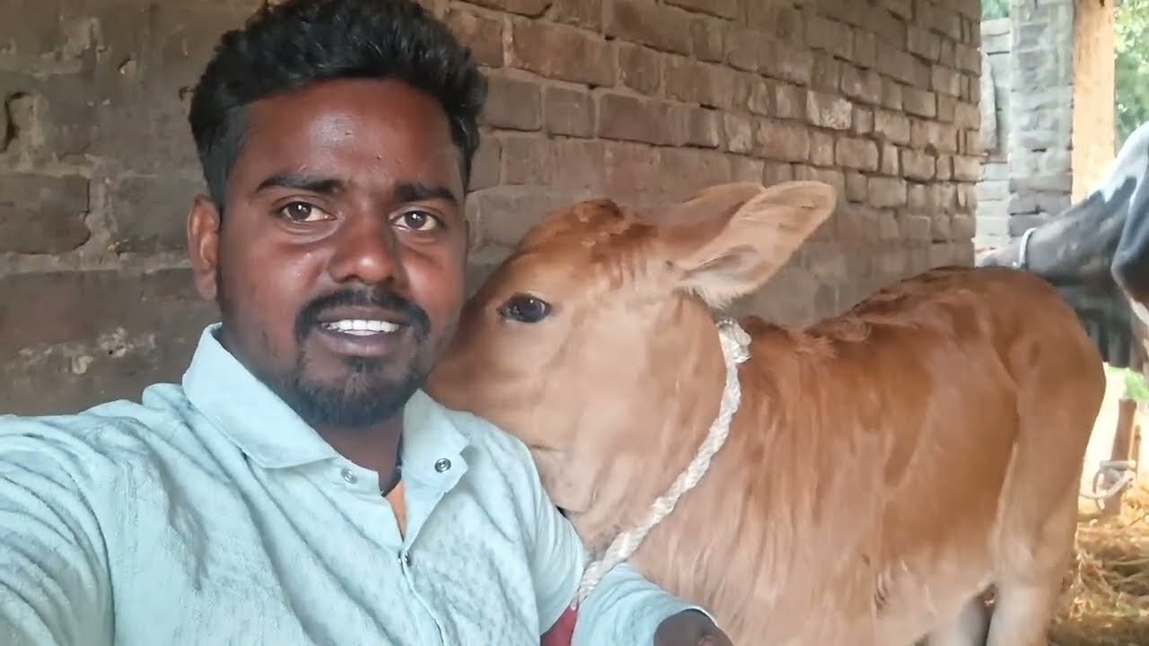 मेरा गाँव कि खेत दोस्तों 
