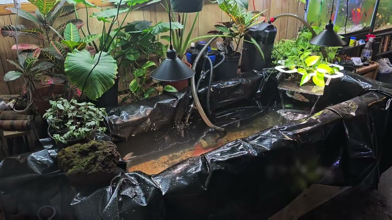 Building the new indoor fish pond