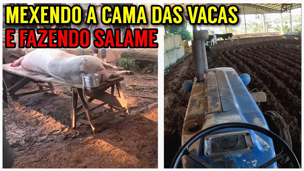 MEXENDO a cama do COMPOST BARNS e fazendo Salame