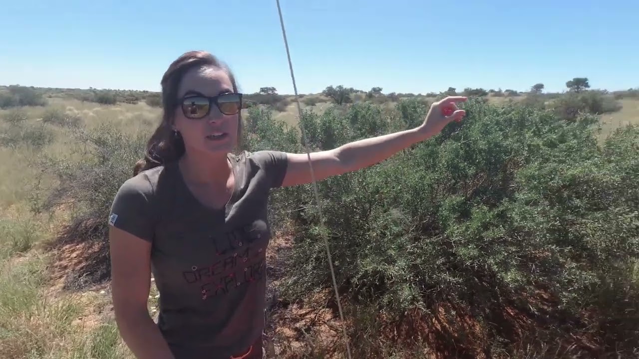 Overland tour 2021 Kgalagadi   Oranje  Namaqua