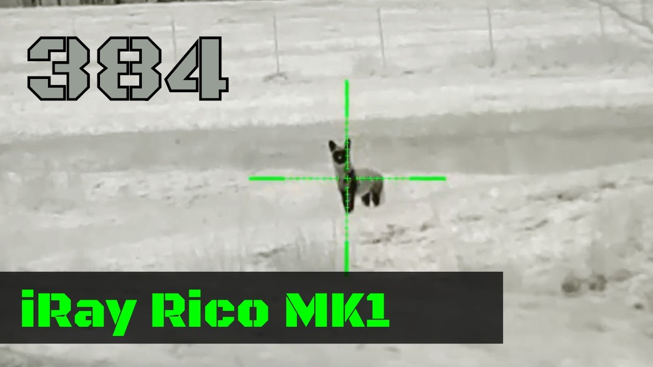 iRay Rico 384 MK1 - RL42 **1st Hunt and Review**
