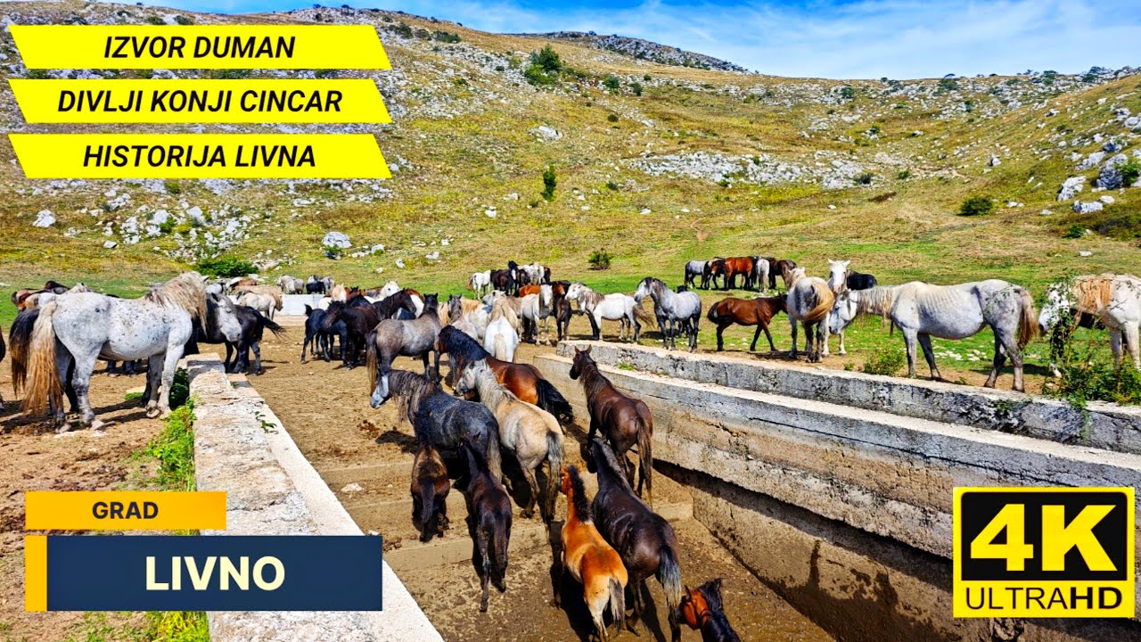 SVE STO TREBATE POSJETITI U LIVNU DIVLJI KONJI IZVOR DUMAN PLANINA CINCAR