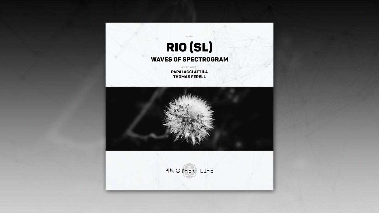 RIO (SL) - Waves Of Spectrogram (Original Mix) [Another Life Music]