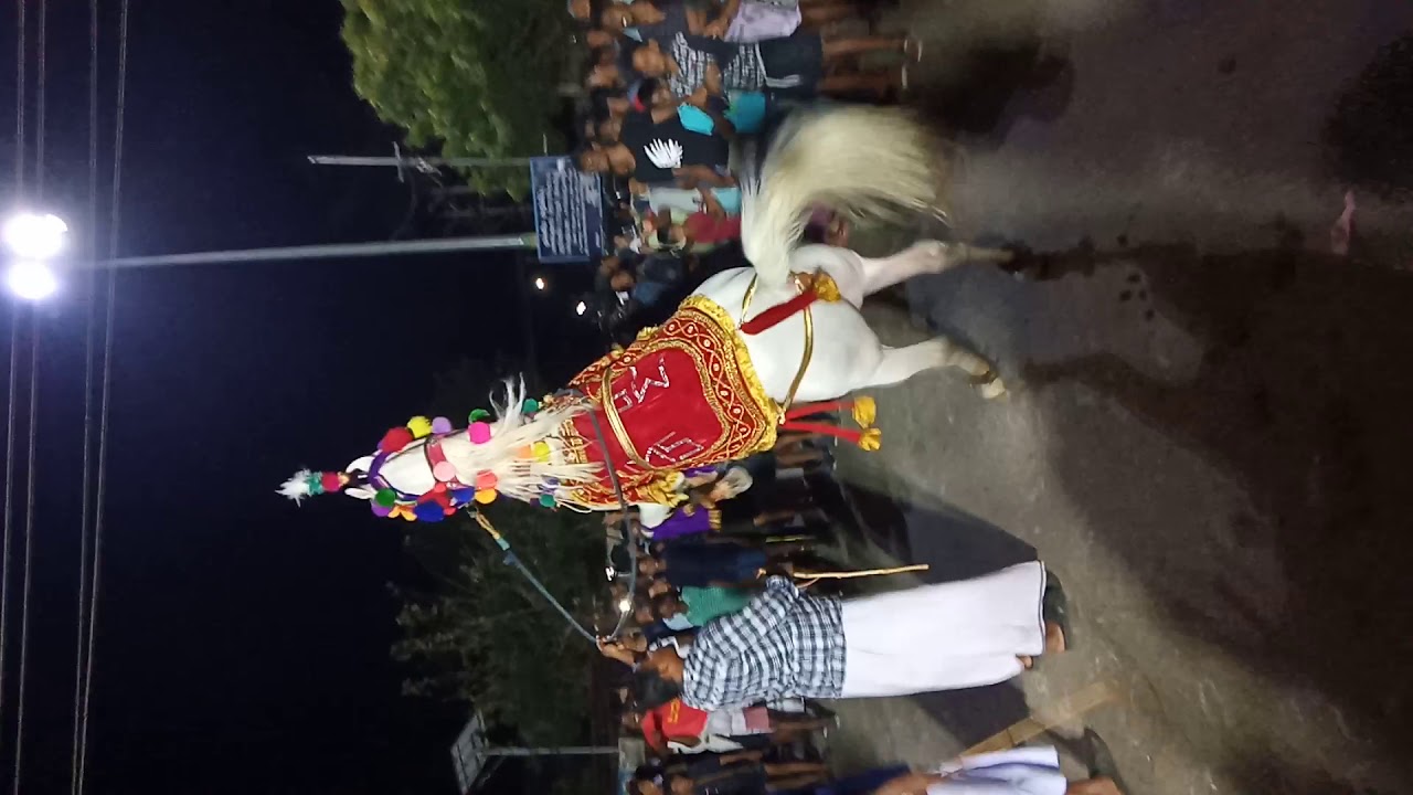 M.S jemini panaikulam horse dancing