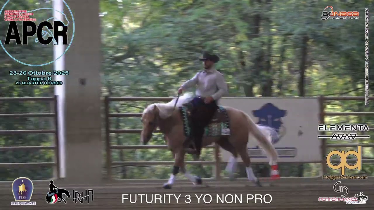 6 tappa APCR 2025 - HOF YEHONATAN & PF GOLDEN VOODOO score 144