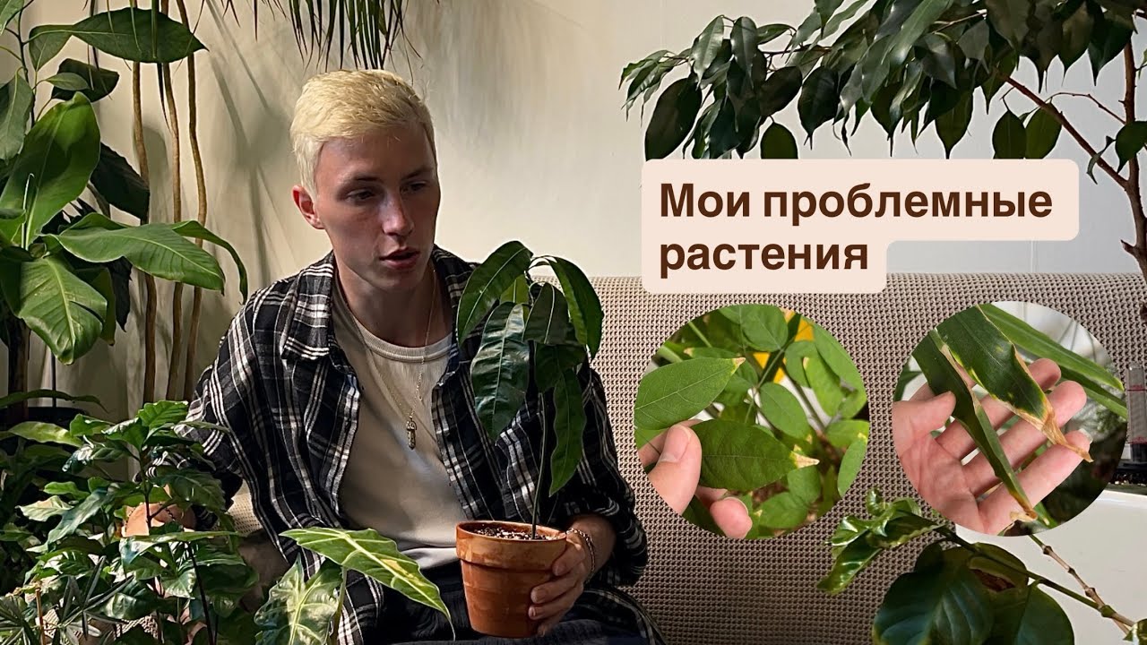 Мои проблемные растения. 