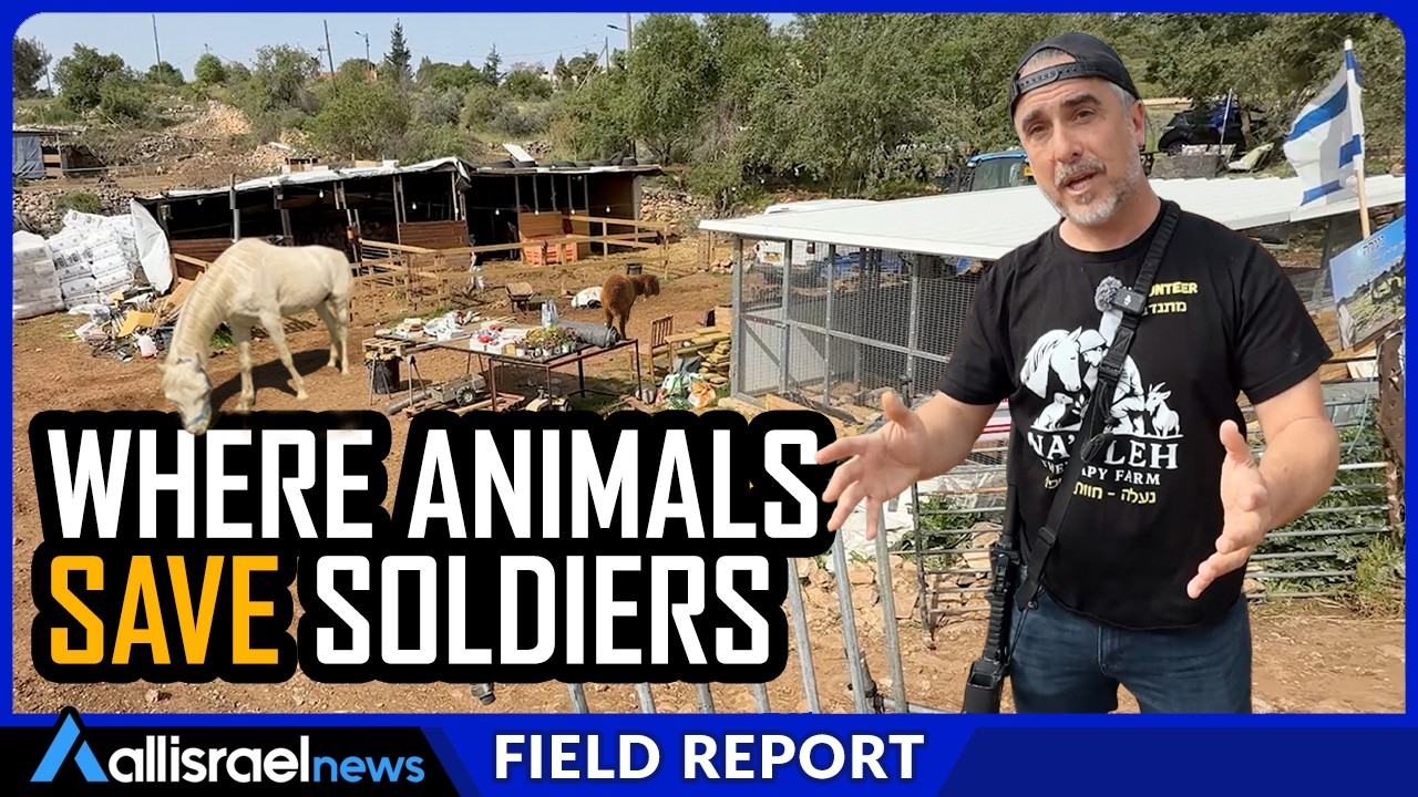 'Healing Oasis': Inside Israel&rsquo;s Therapy Farm for Soldiers Battling PTSD