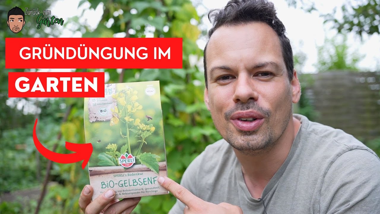 Gründüngung - Wann, Was und Wie?