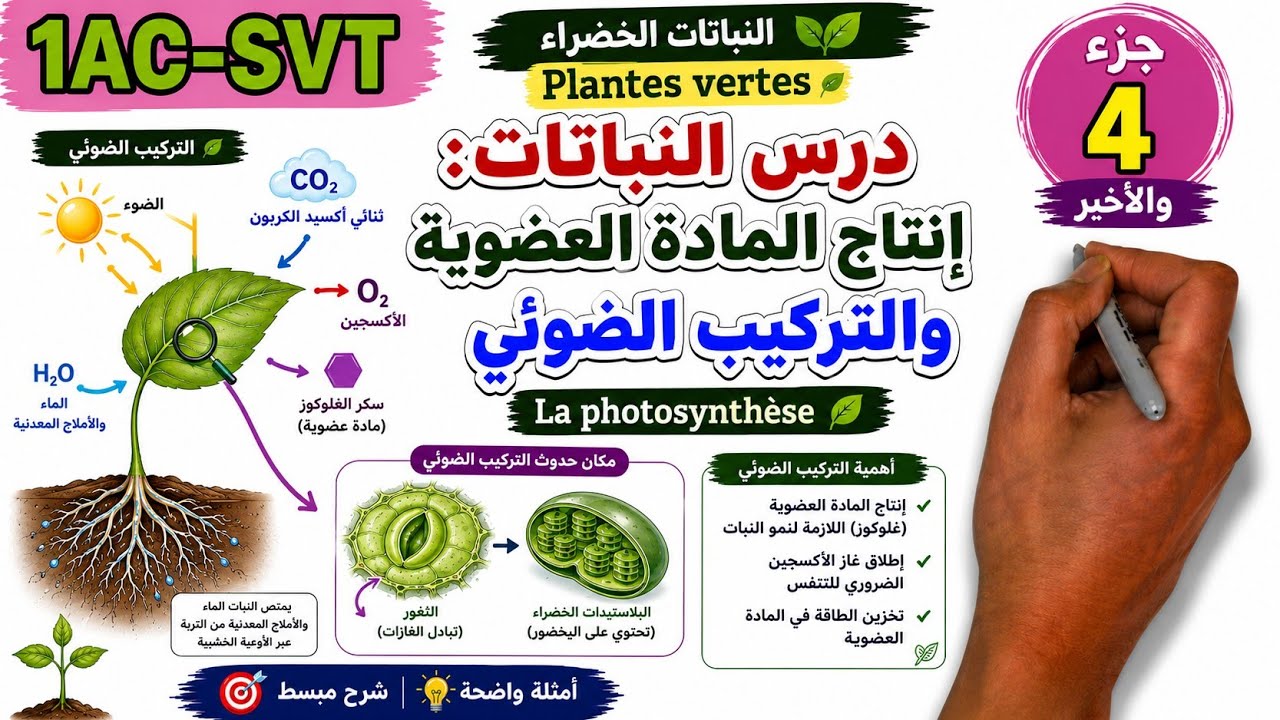 الحاجيات الغذائية للنباتات الخضراء الجزء الرابع| La nutrition des plantes vertes 1AC SVT