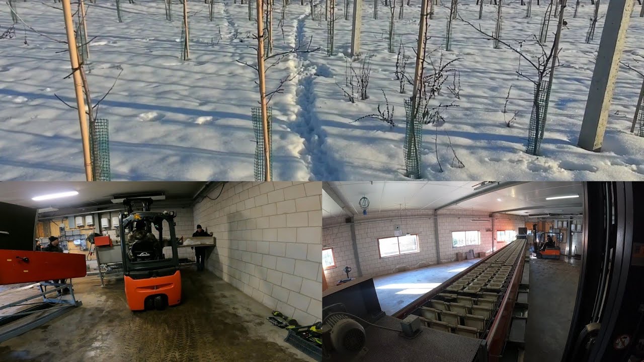 Z Sadu 18-01-2026 Ostra zima za pasem, 8H pracy w 3 minuty 