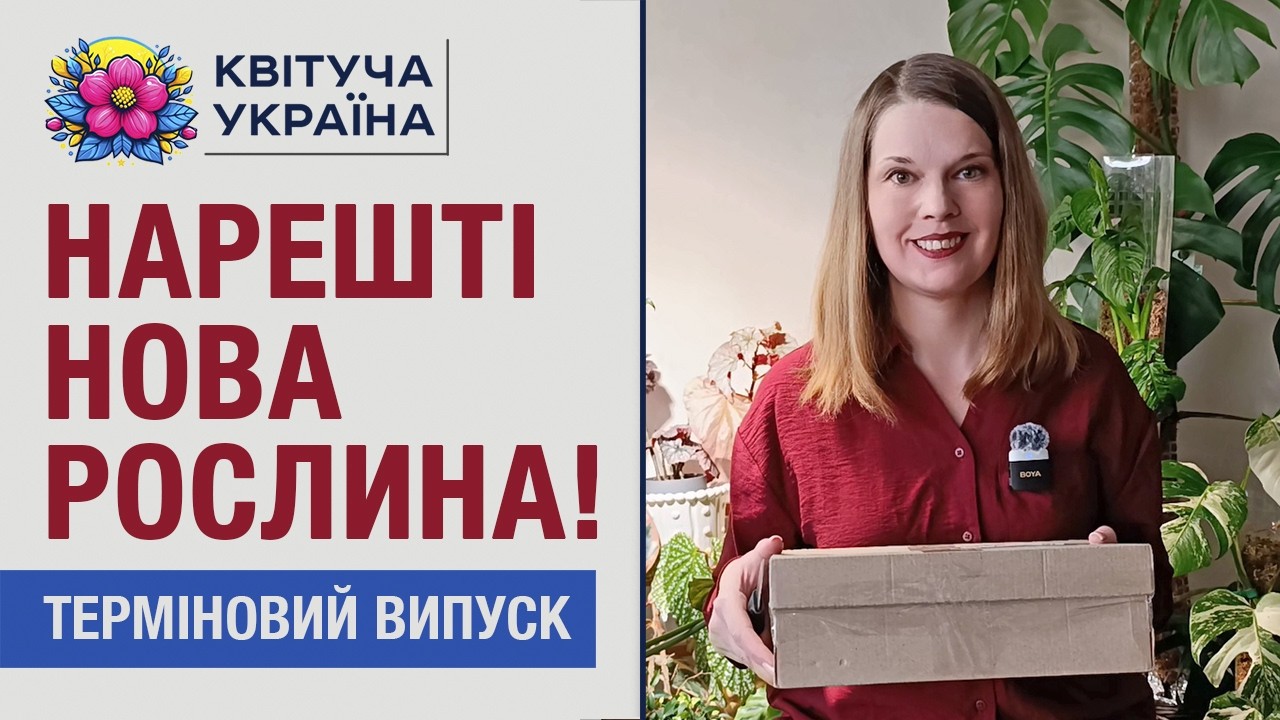Розпаковка нової рослини! Я чекала на неї понад рік!