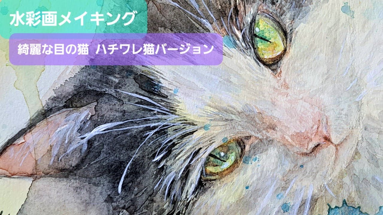 【水彩画】綺麗な目の猫 ハチワレ猫バージョン  猫の日動画