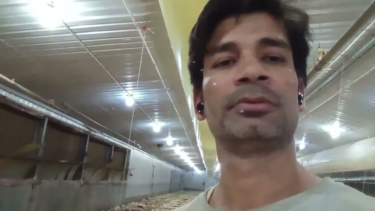Dubai Poultry Farm me kaise kam hota hai live Dekh salary 2000 AED Full details 7479985539