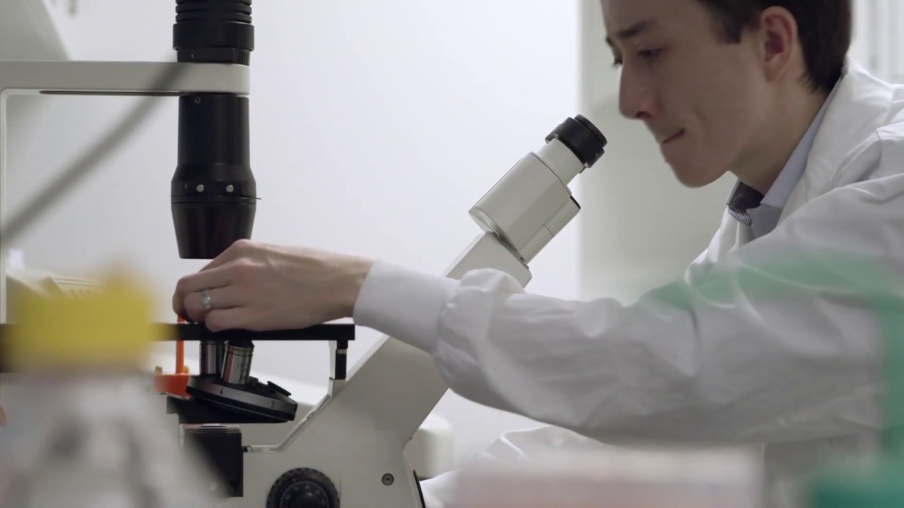 The mechanisms behind tissue regeneration are right at our fingertips