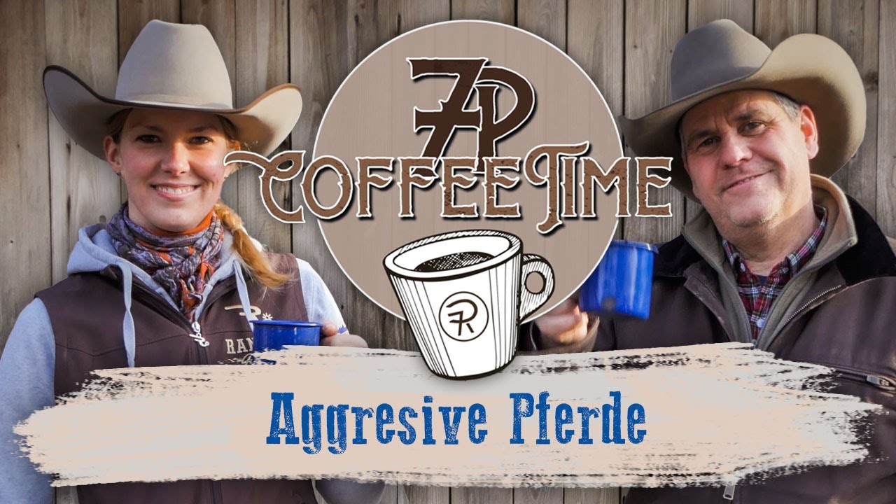 Aggresive Pferde | 7P CoffeeTime ☕
